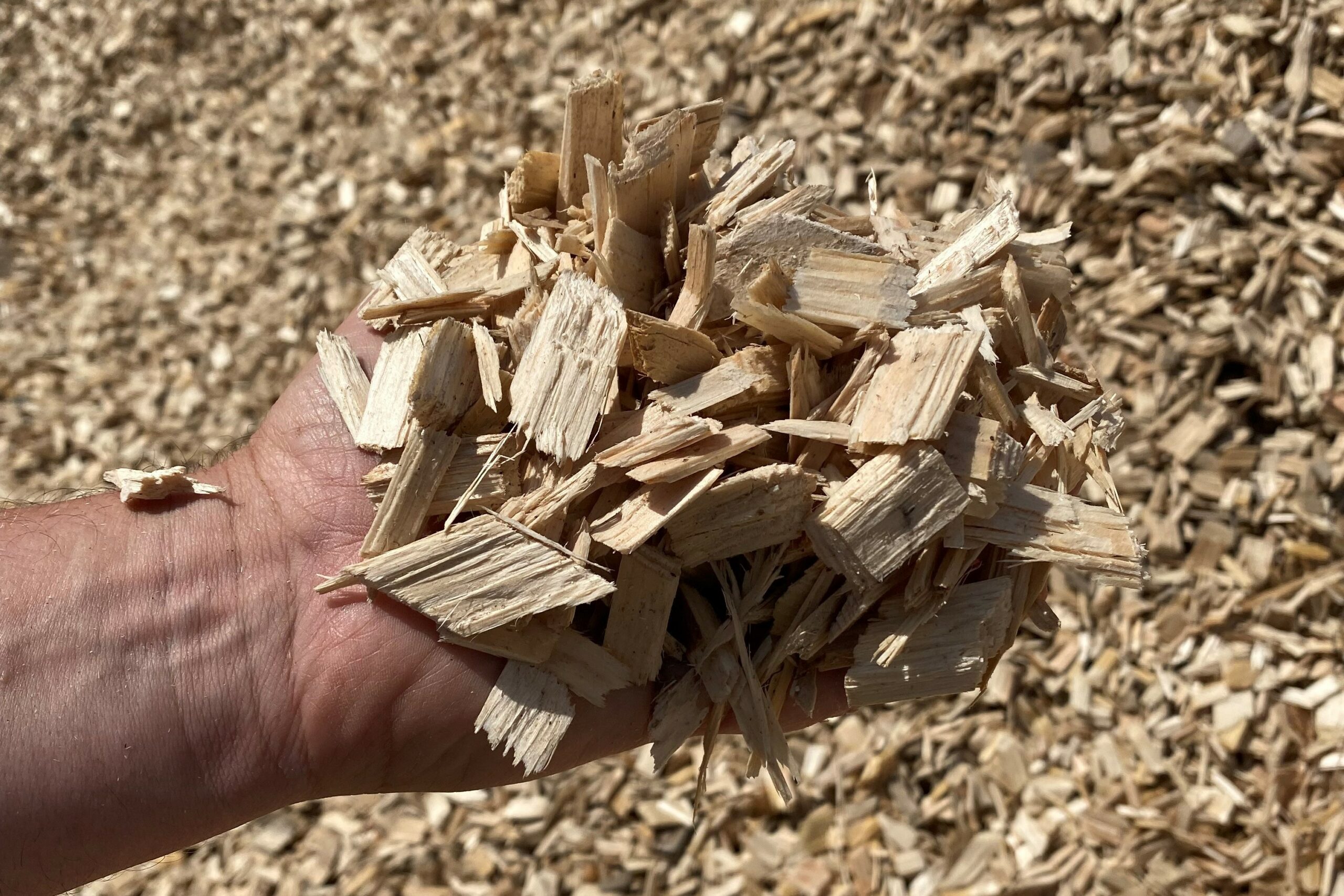 Rindenmulch Fritz Bauer